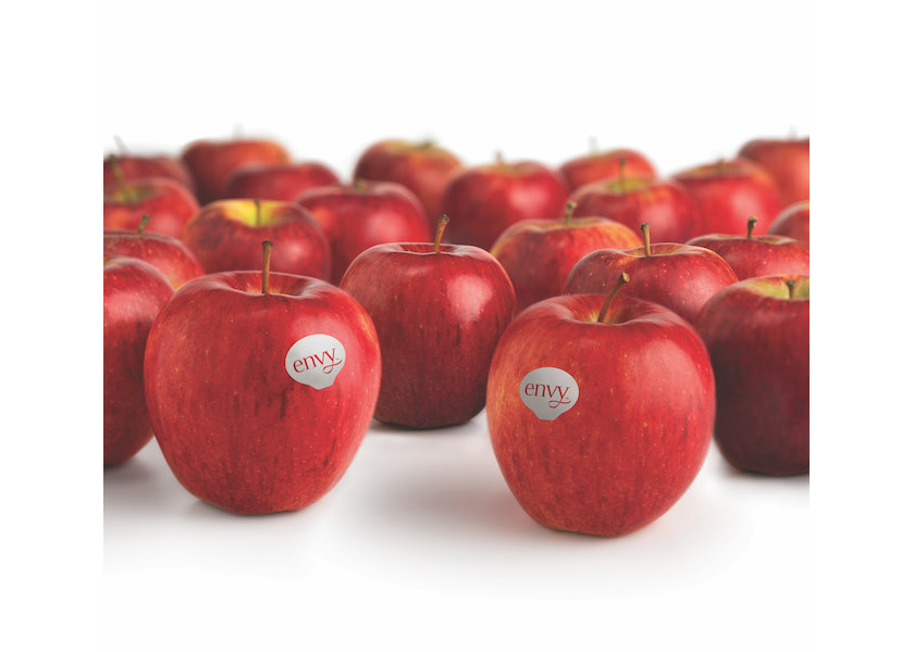 Envy apple's star continues to rise The Packer